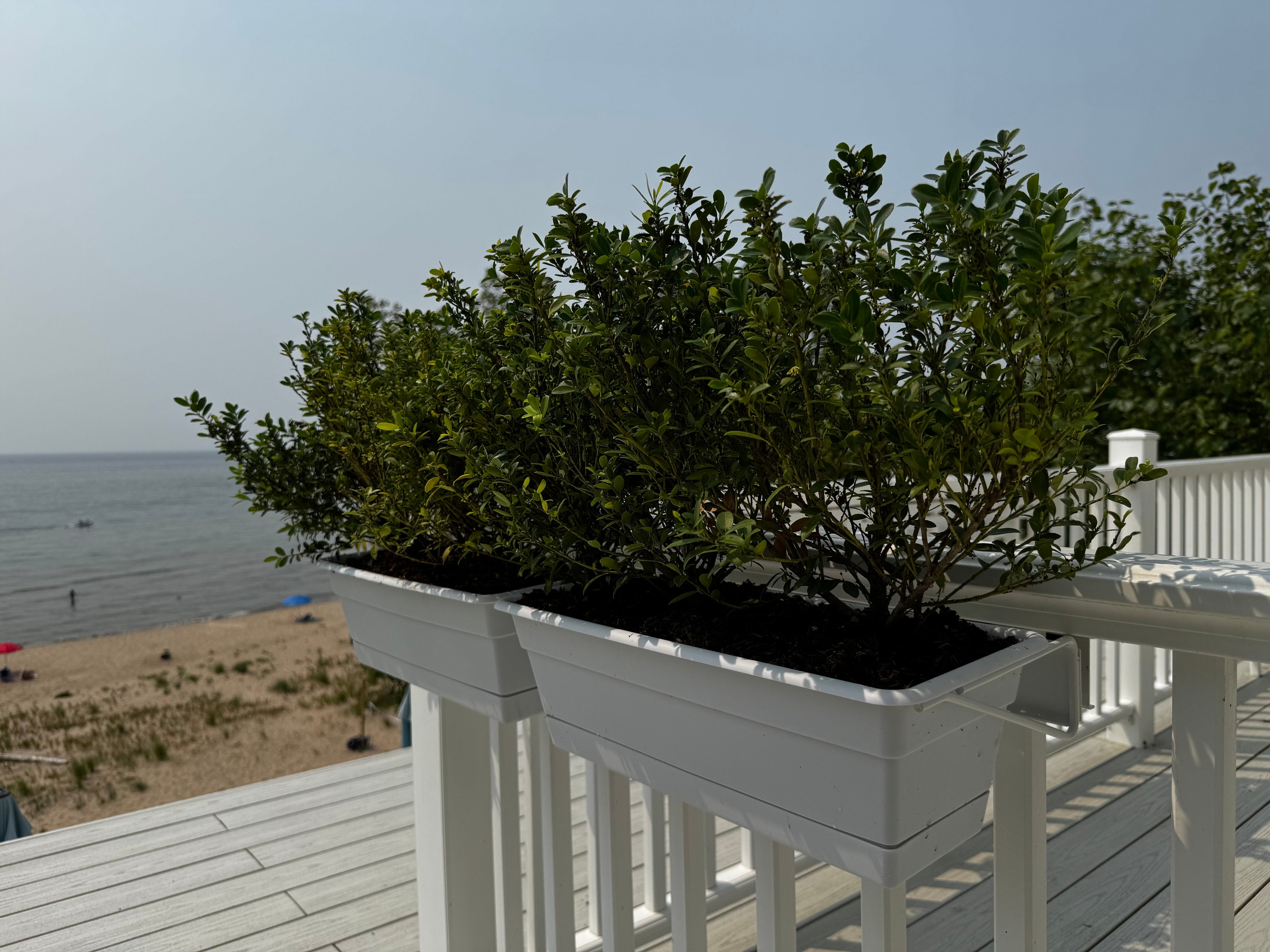 Railing Planter Box for Balcony or Deck