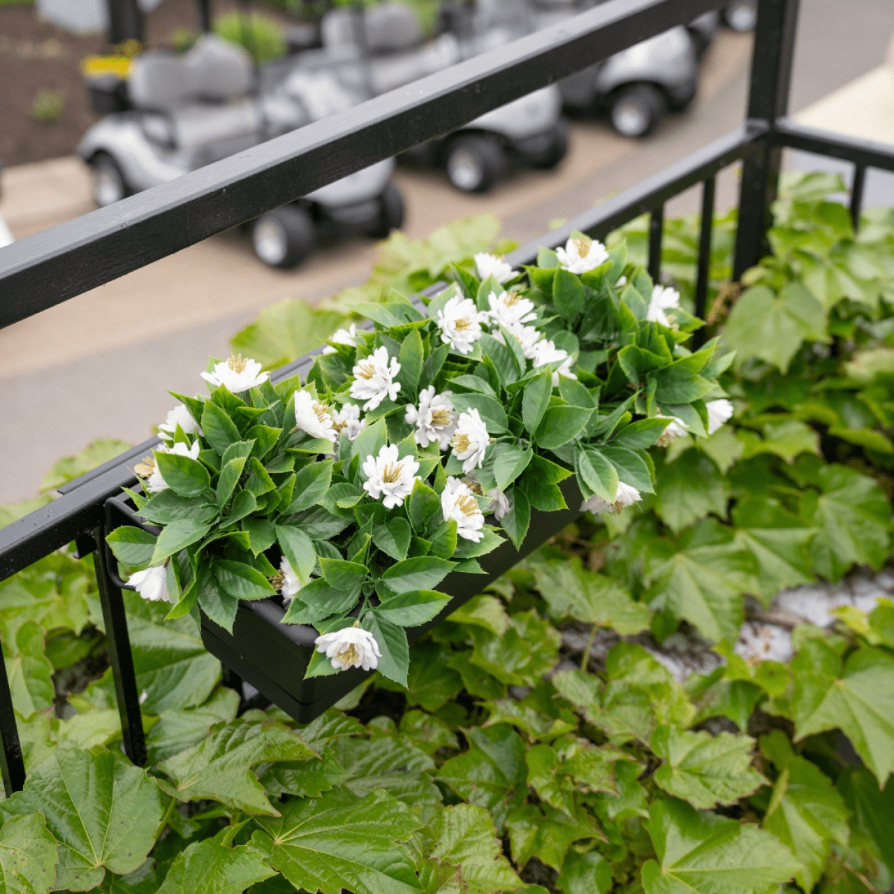 Deck Railing Planter Box