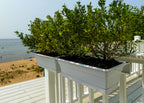Railing Mounted Planter Box for Deck & Balcony Railings (Set of Two)